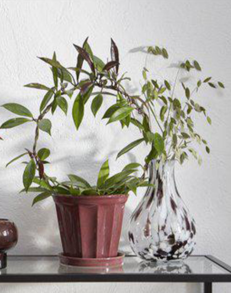 Dot Vase - White and Maroon Dot