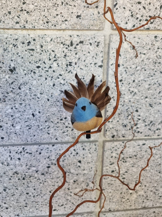 Blue Fantail Bird