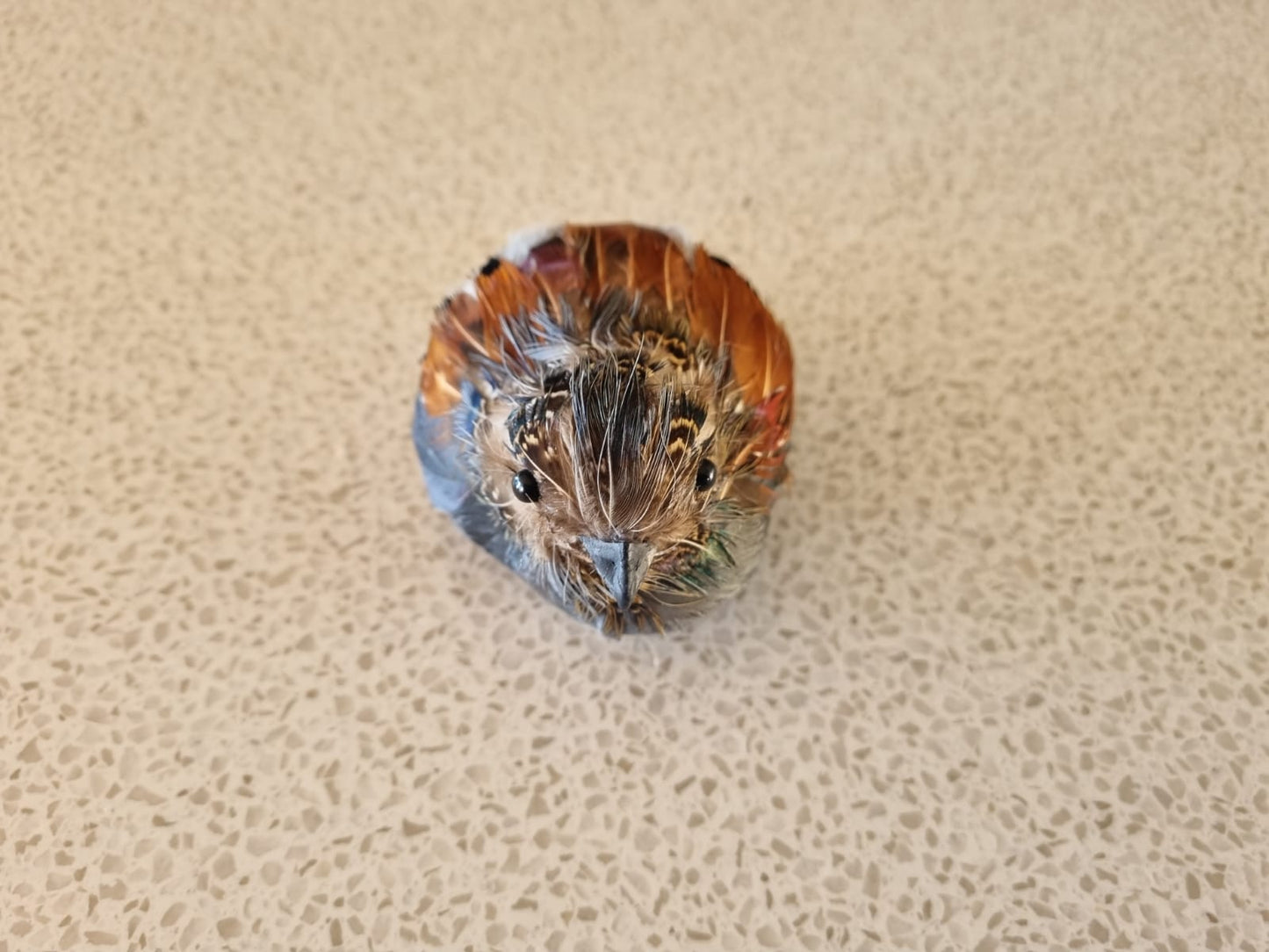 Deco Quail Bird