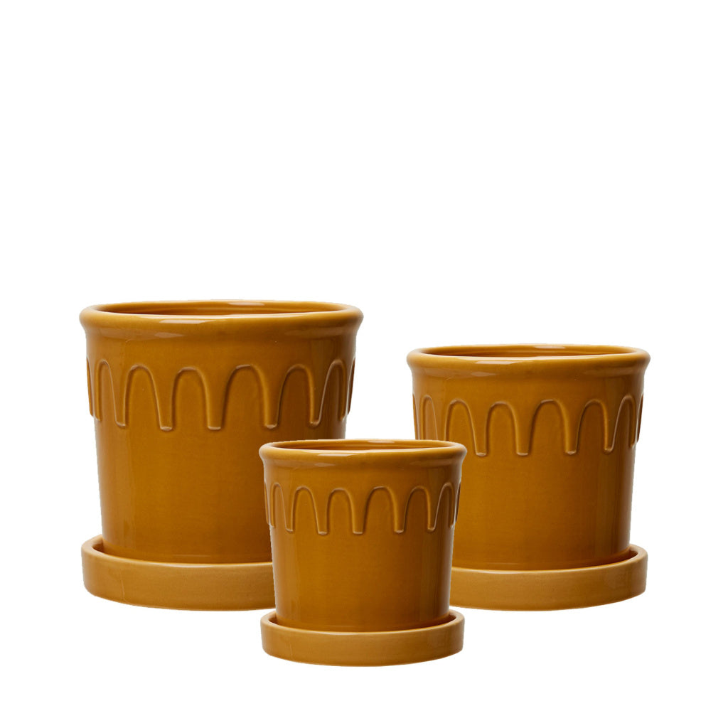 Pot Luck - Mustard, Small