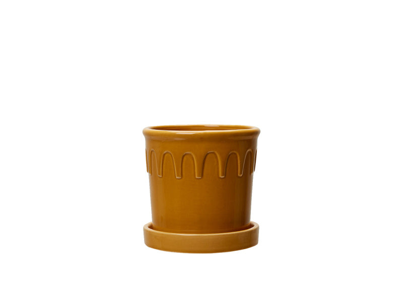 Pot Luck - Mustard, Small