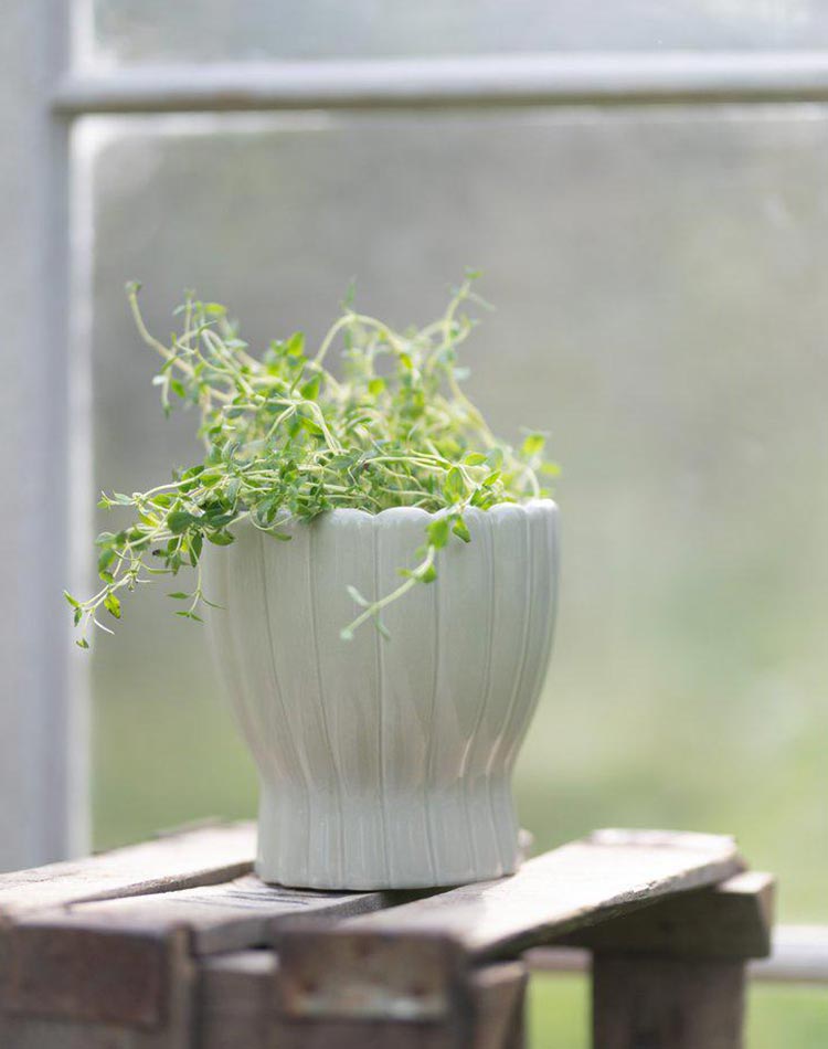 Hedvig Pot - White