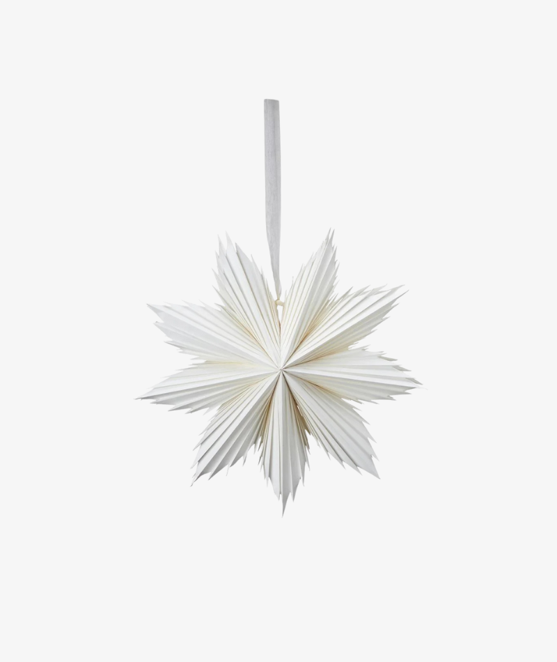 Stardust Paper Star