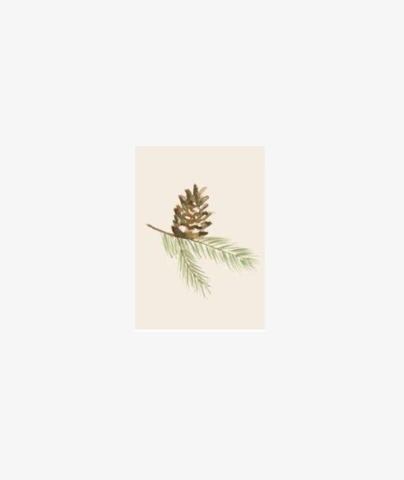 Christmas Card - Pine Cone Branch