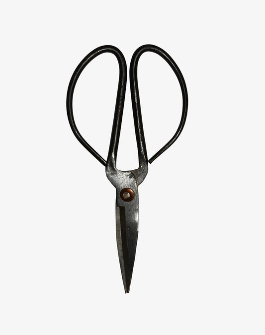 Scissors - Medium