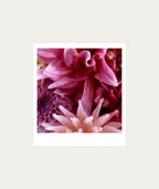 Paint Dahlias AT HOME Polaroid Artwork - Medium
