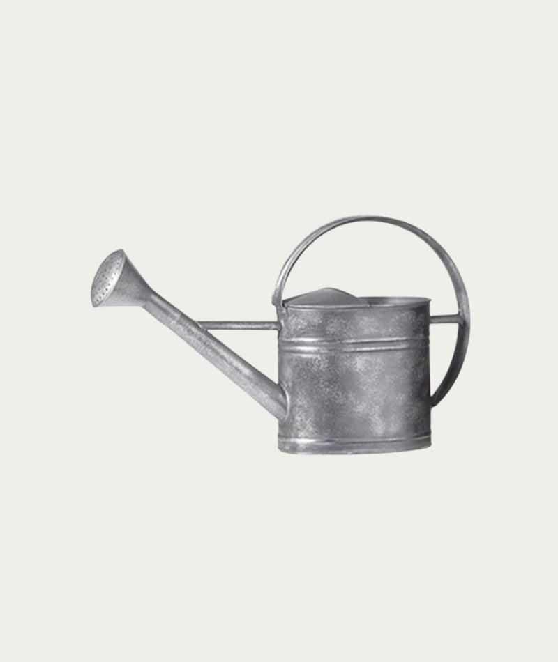 Lola Watering Can - Zinc