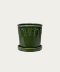 Pot Luck - Green, Large