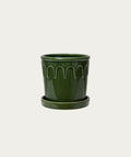 Pot Luck - Green, Medium