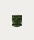 Pot Luck - Green, Small