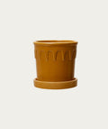 Pot Luck - Mustard, Large