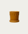 Pot Luck - Mustard, Medium