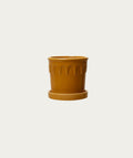 Pot Luck - Mustard, Small