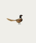 Pheasant