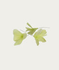 Feather Flower - Lime