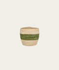 Basket - Cream with Green Stripe, Small