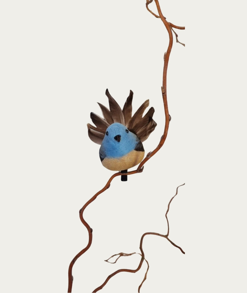 Blue Fantail Bird