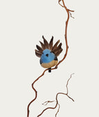 Blue Fantail Bird