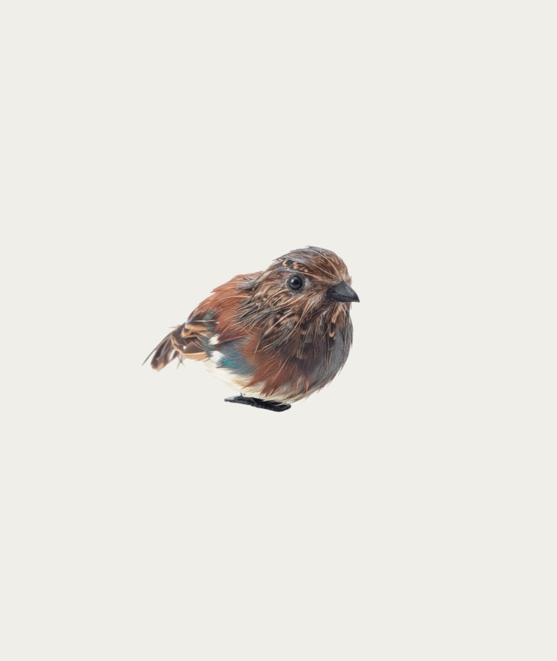 Deco Quail Bird