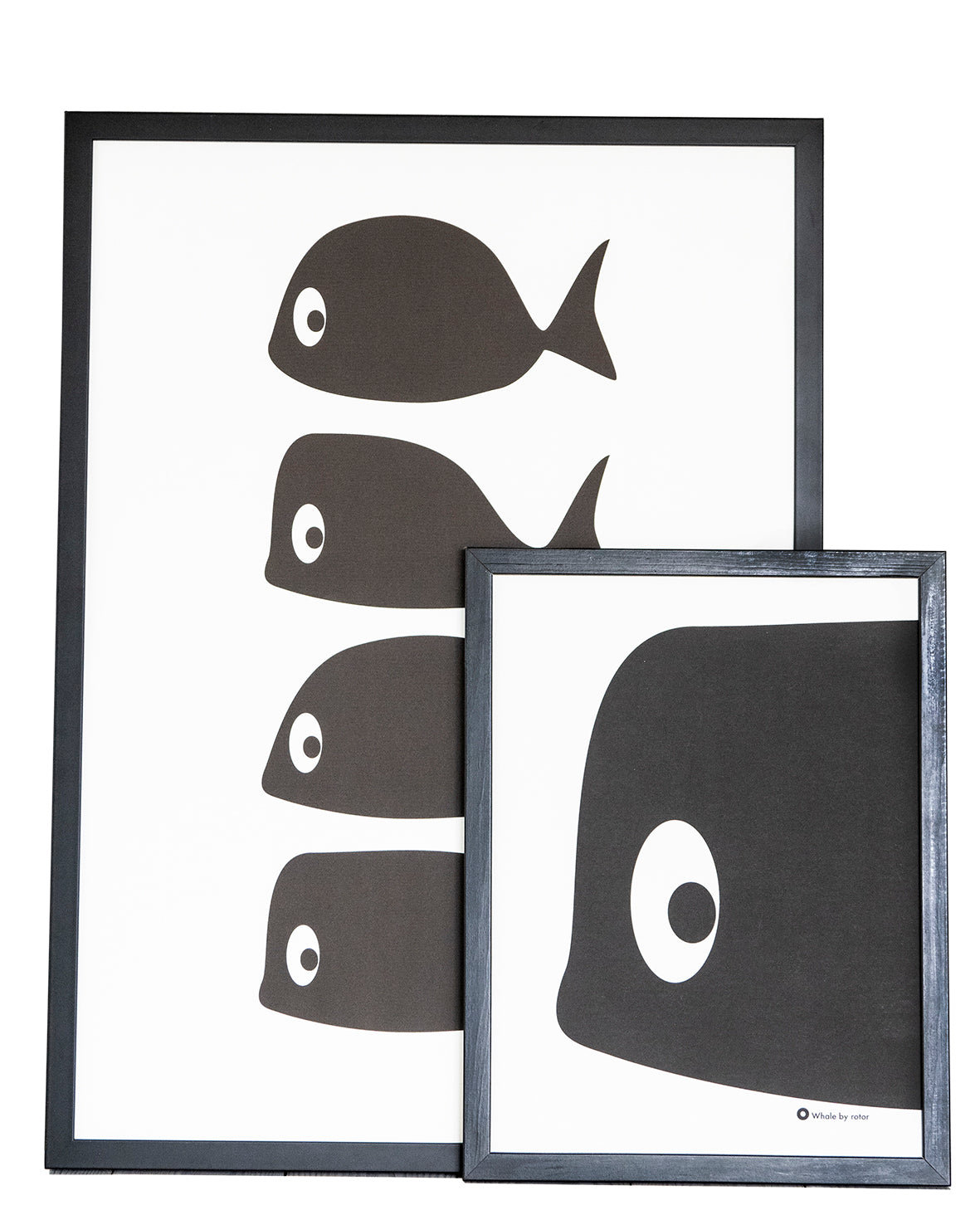 Whale Multi Poster - 50 x 70cm