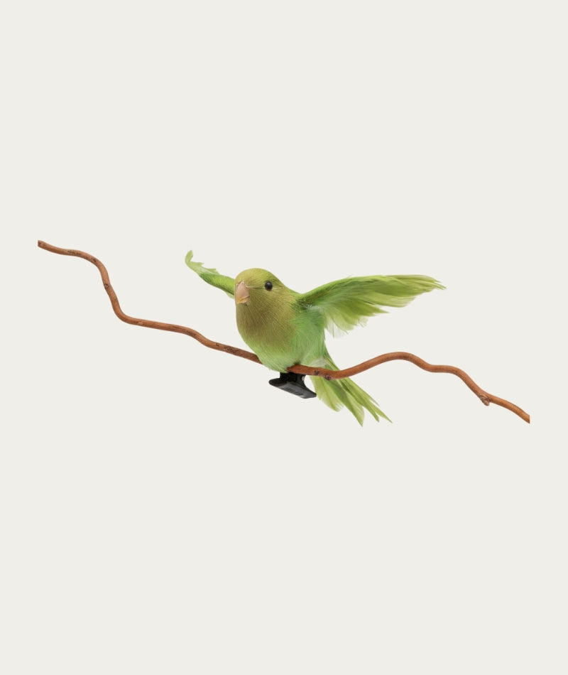 Green Flying Fantail Bird