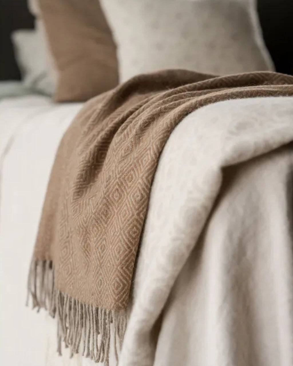 Ekel Beige / Brown