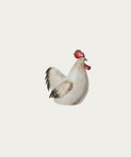 Sitting Rooster