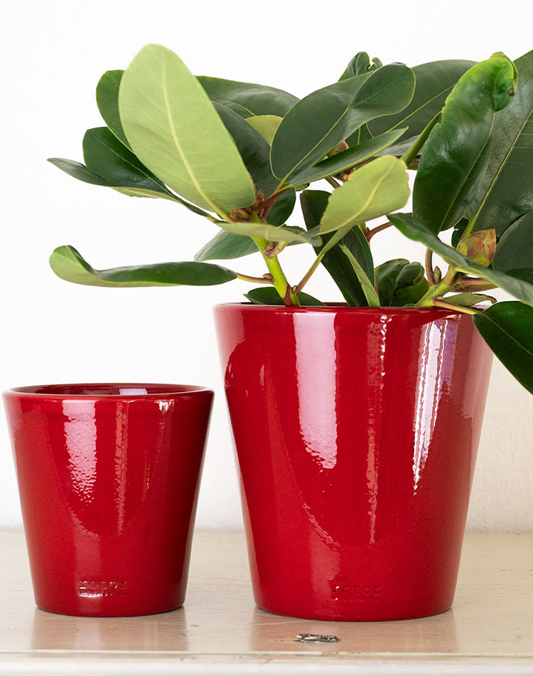 Red Flowerpot - Small