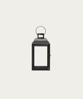 Polly Lantern - Medium