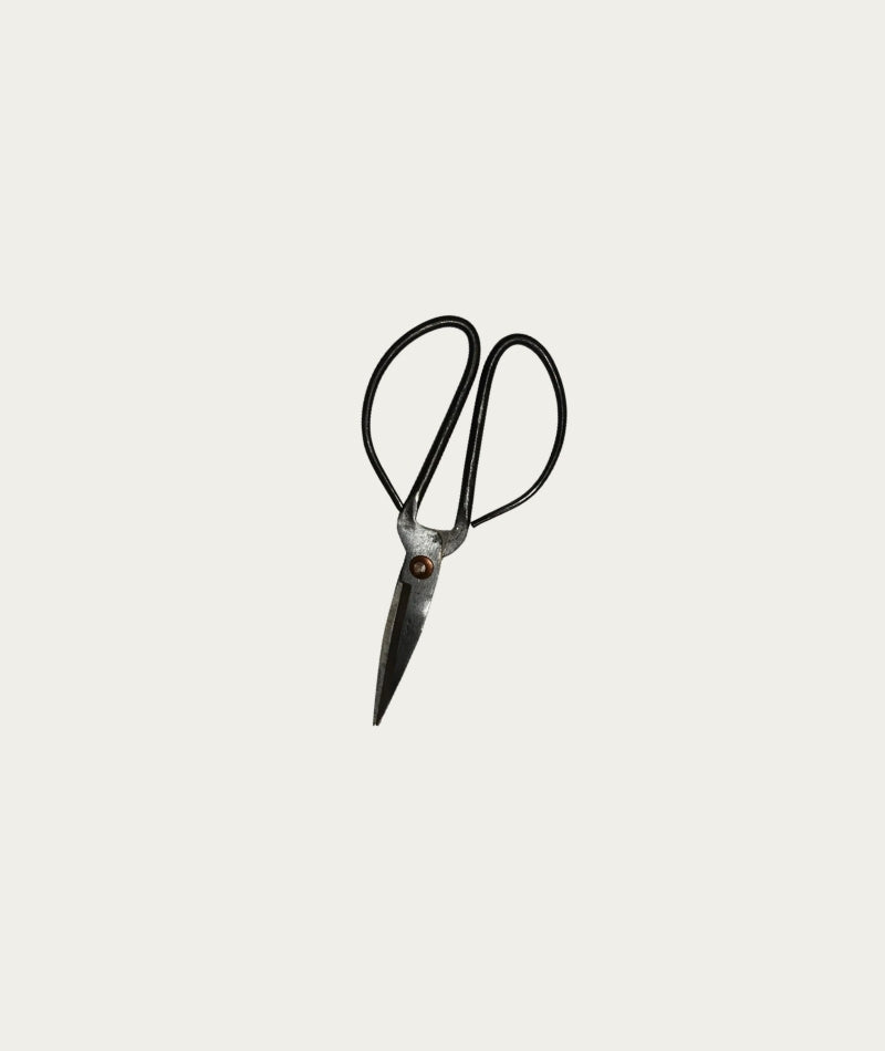 Scissors - Medium