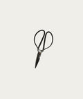 Scissors - Medium
