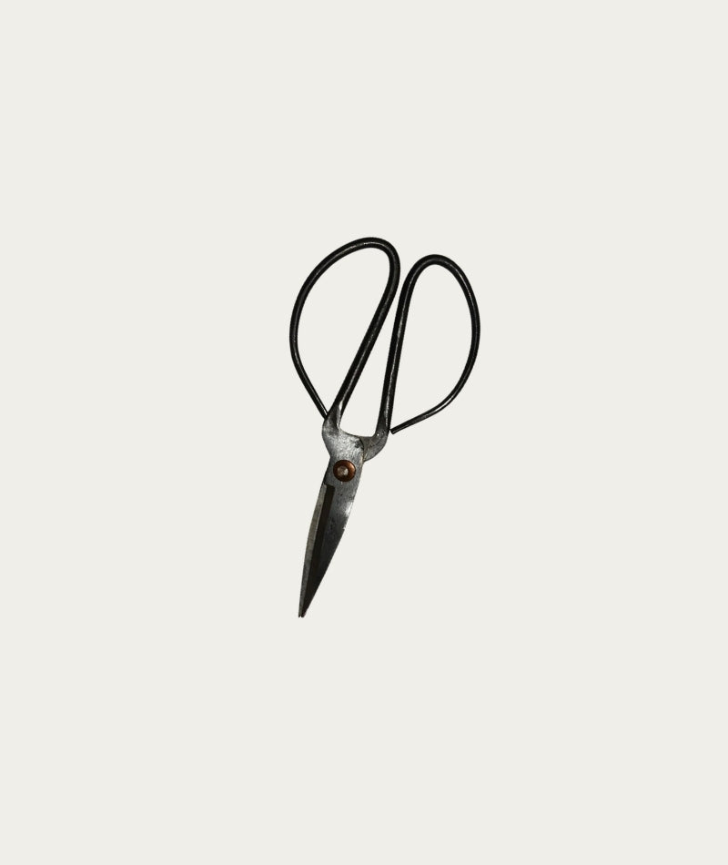 Scissors - Large