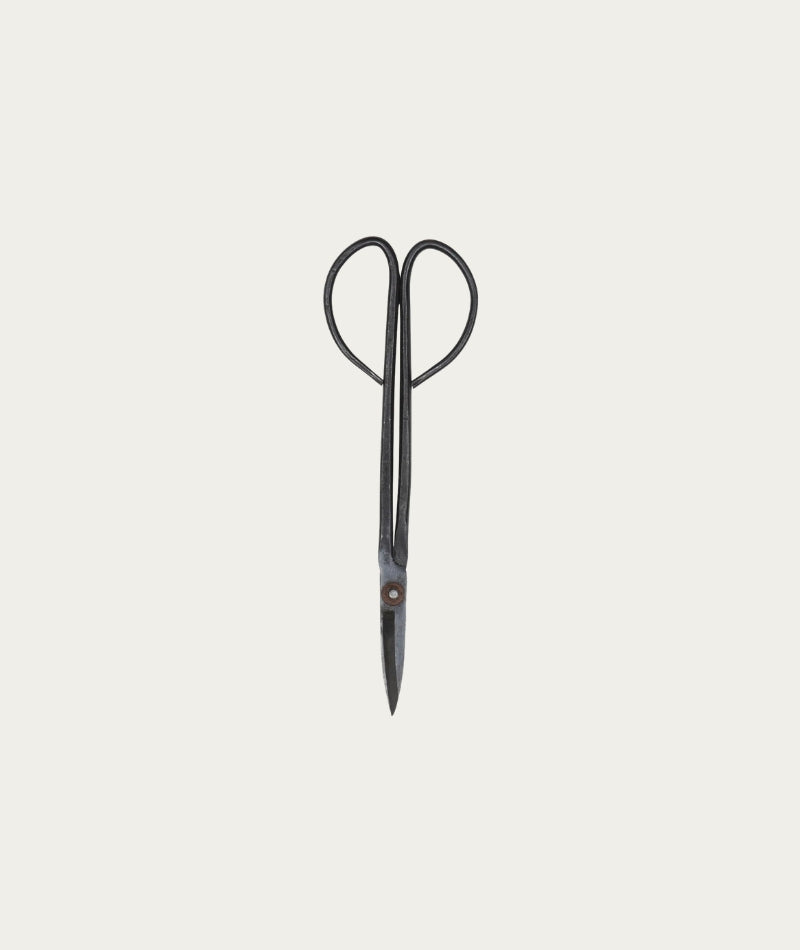 Scissors - Long