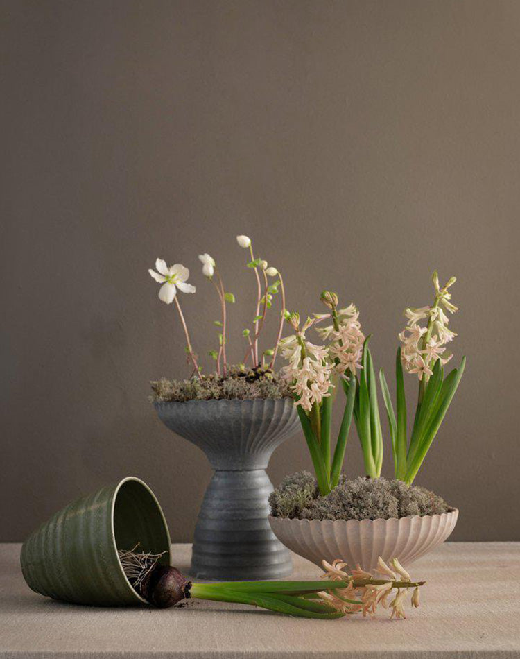Yodit Vase Pot - Green