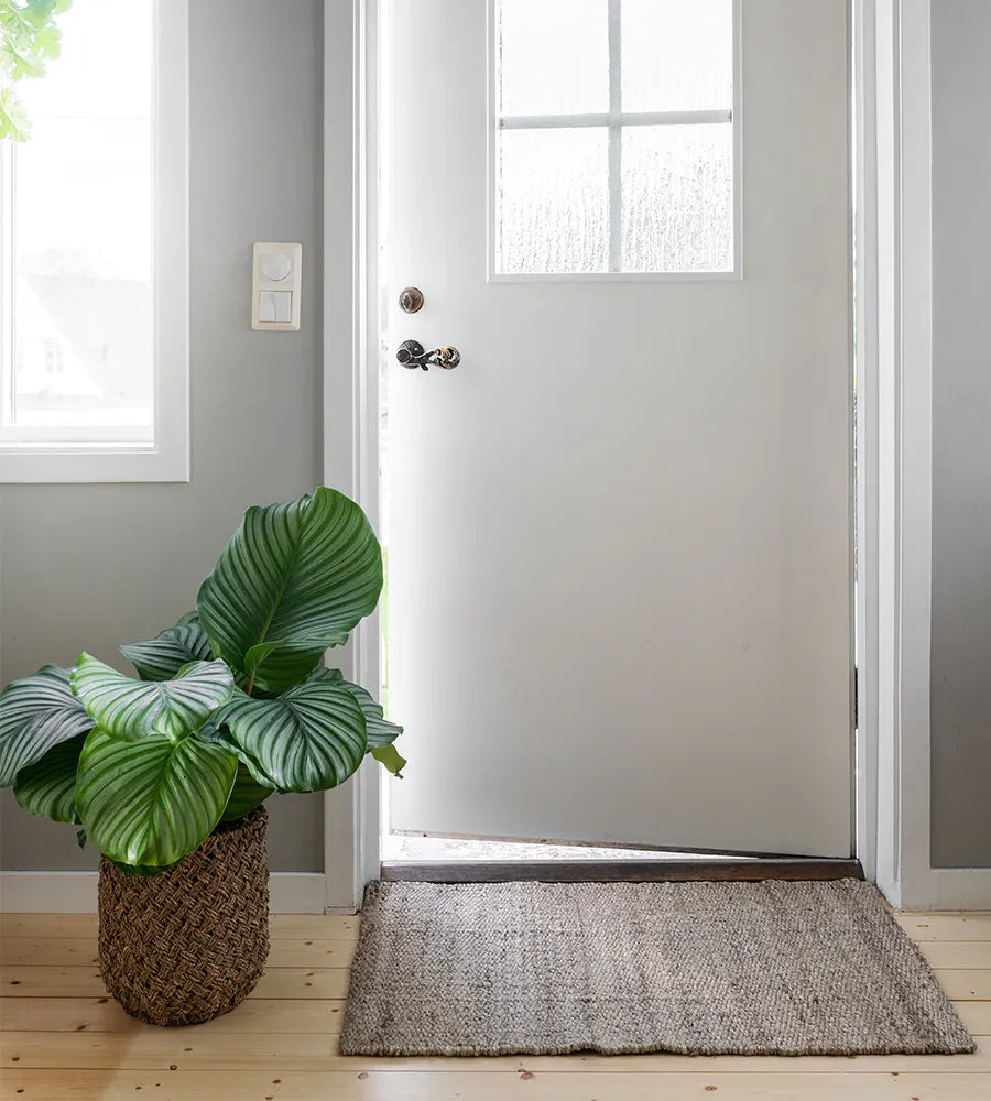 Naset Silver Natural Doormat - 60 x 90cm