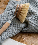 Dish Brush