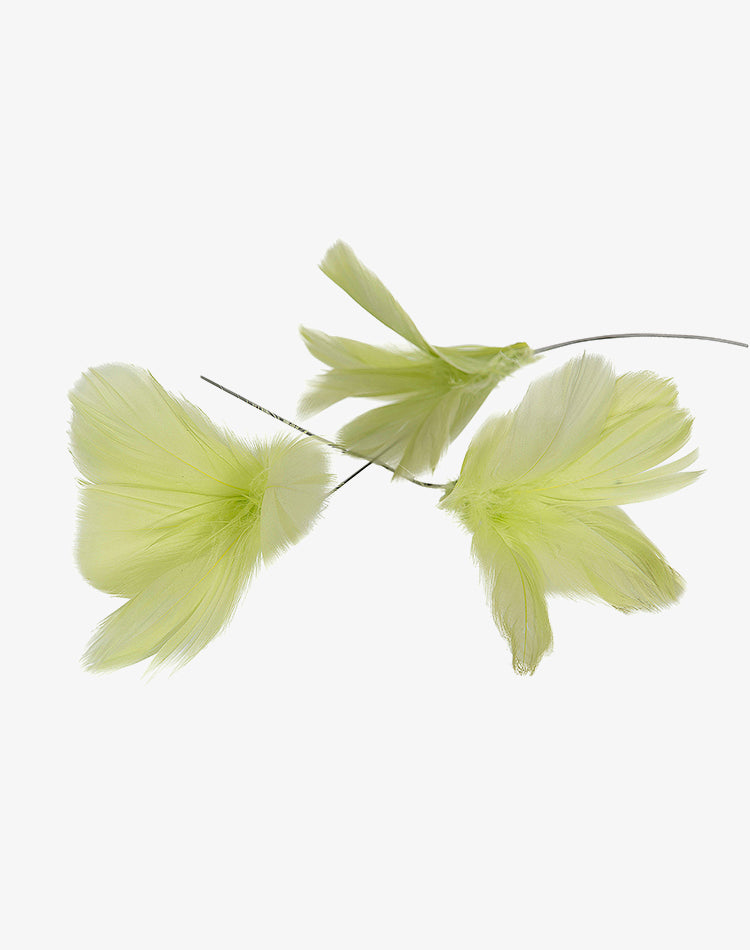 Feather Flower - Lime