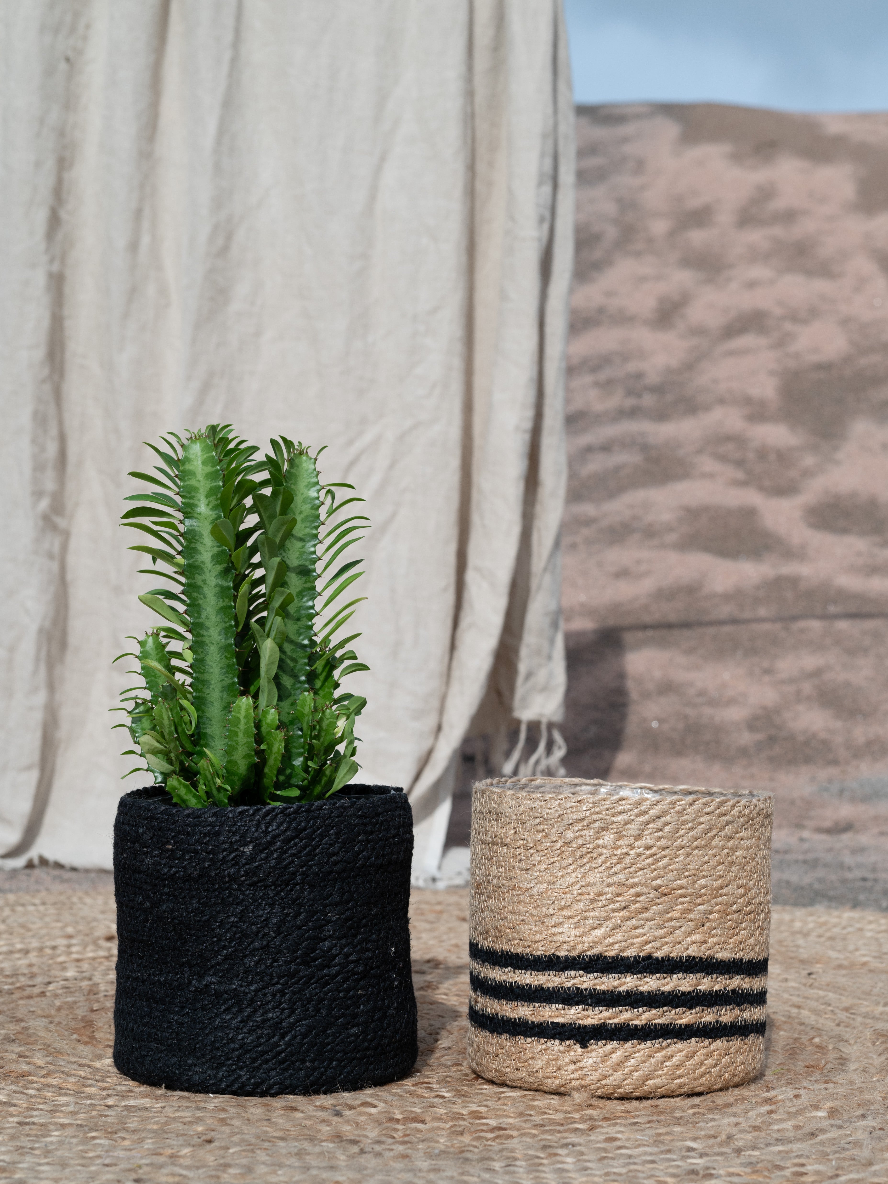 Bella Basket - Natural/Black, Small