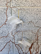 Flying Hummingbird Bird