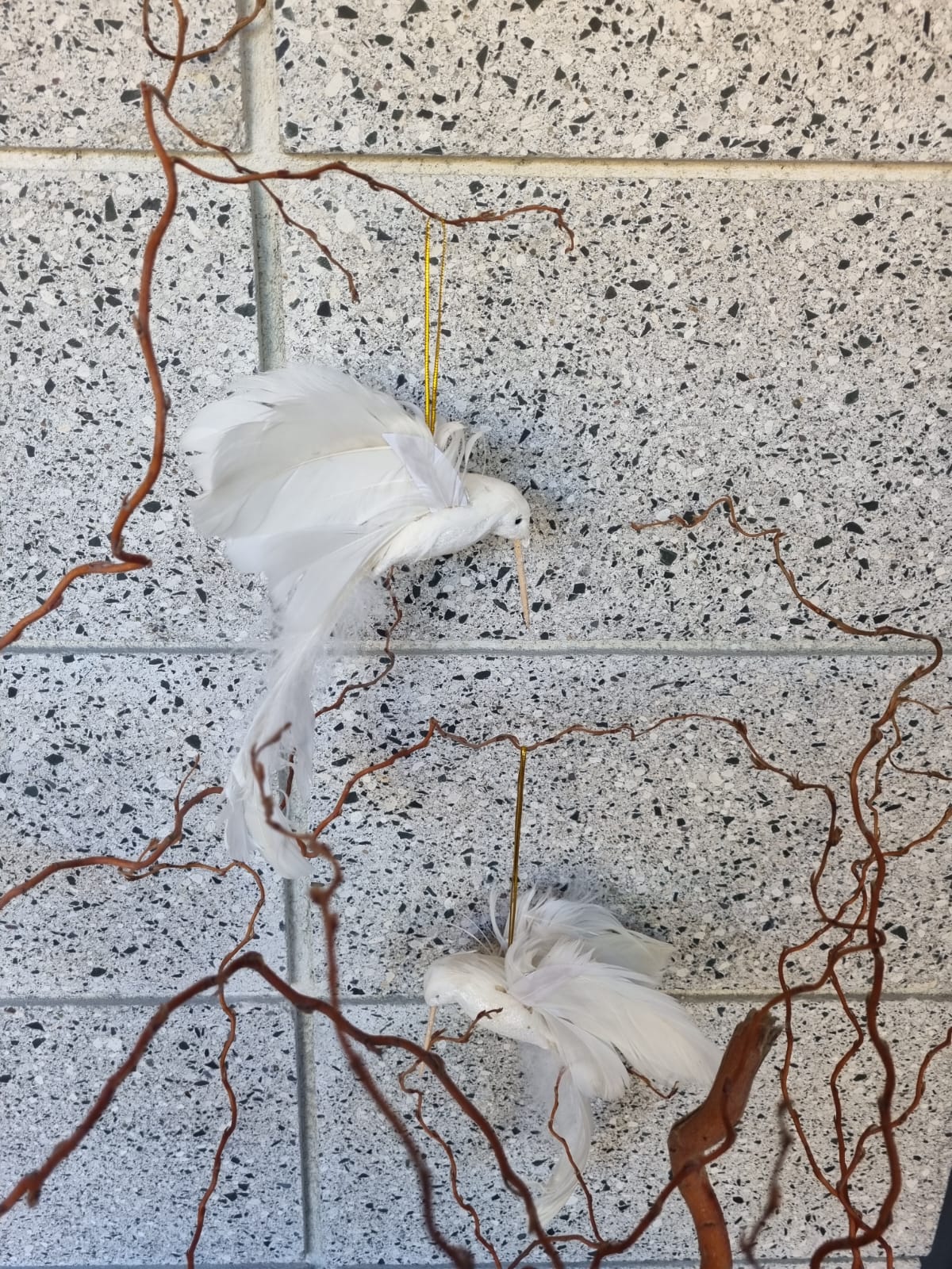 Flying Hummingbird Bird