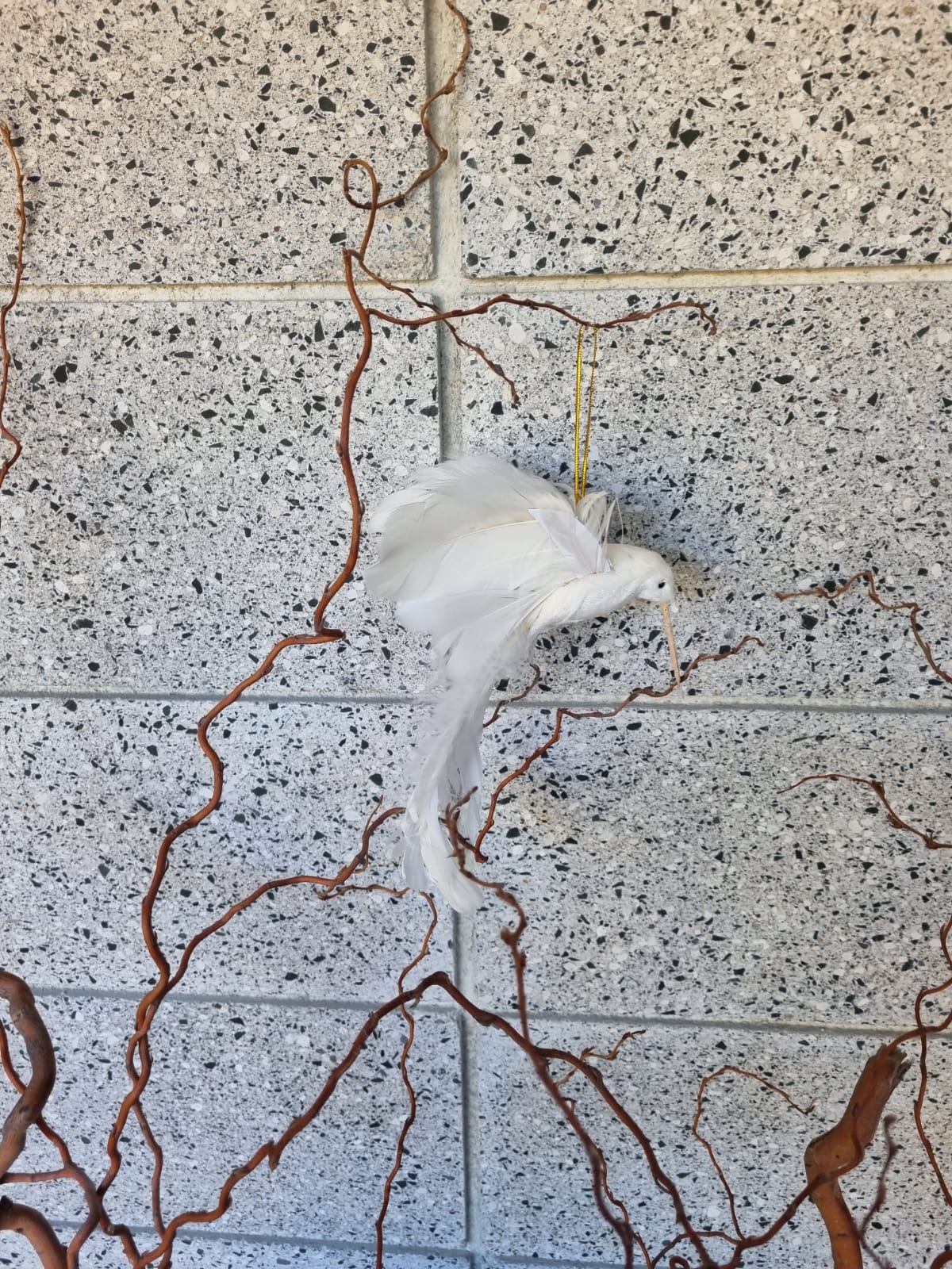 Flying Hummingbird Bird