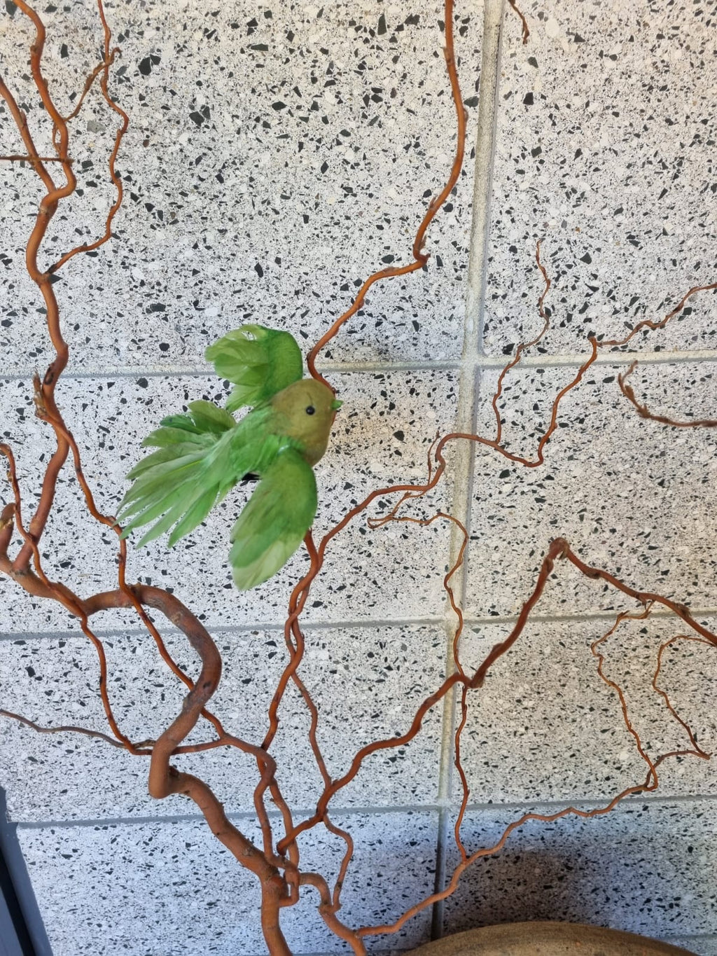 Green Flying Fantail Bird