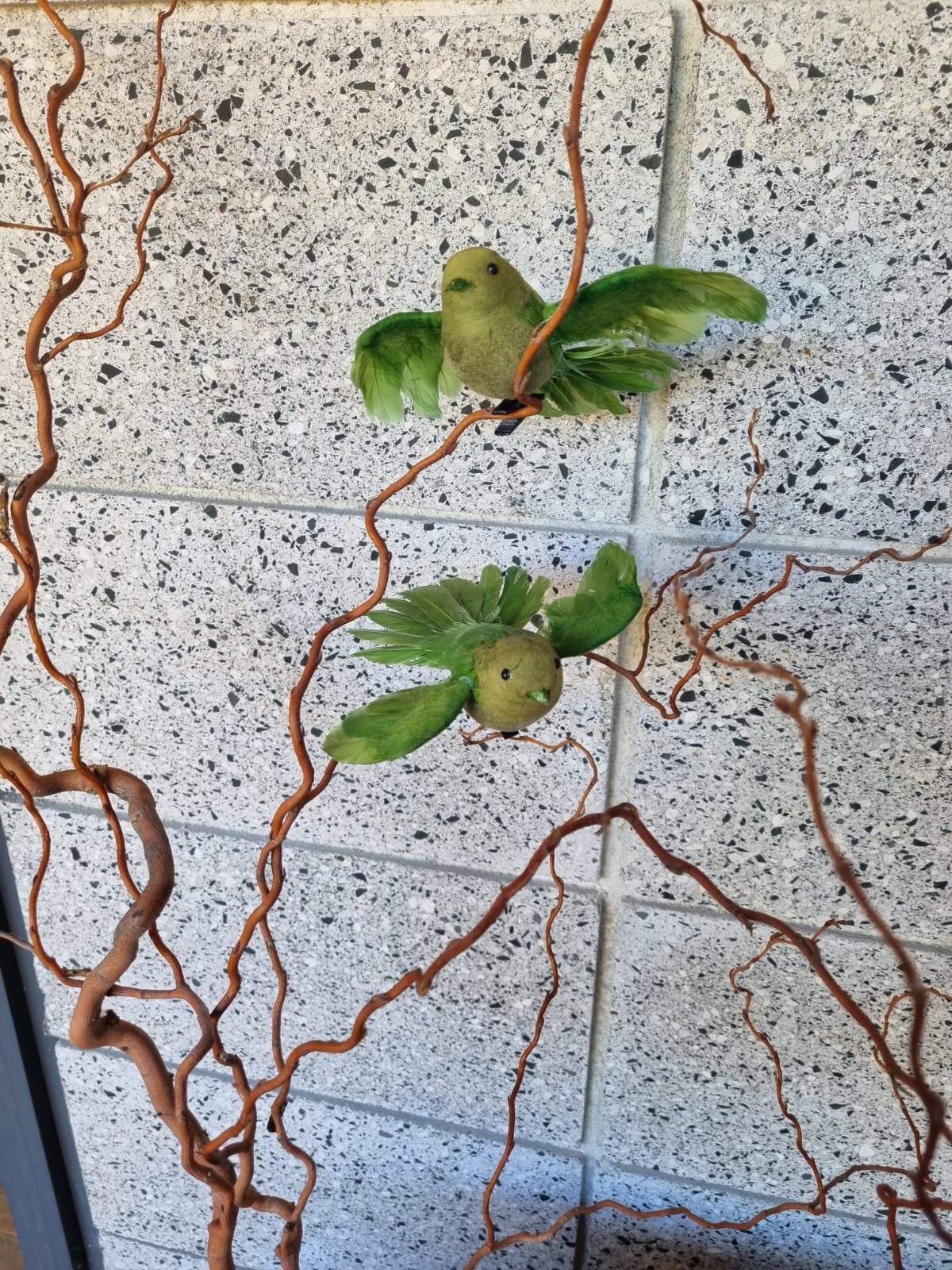 Green Flying Fantail Bird