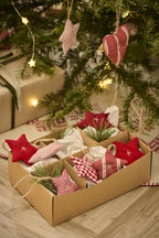 Hanging Star Decoration -  Assorted, Each Sold Separately