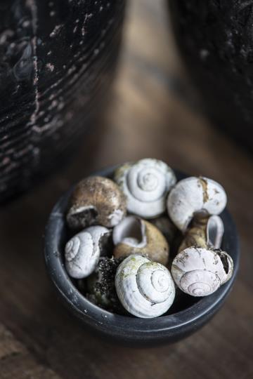 Mini Stone Bowl