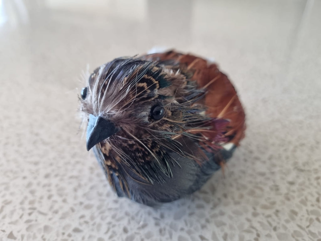 Deco Quail Bird