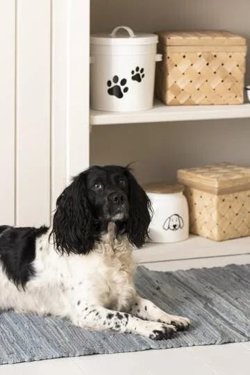 Pet food bucket with lid