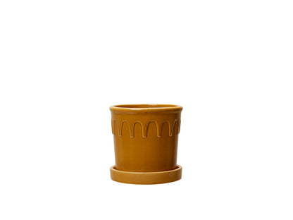 Pot Luck - Mustard, Medium