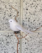 White Flying Fantail Bird