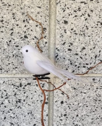 White Flying Fantail Bird